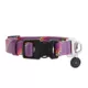 Product Arcadia Trail™ Rope Paracord Dog Collar