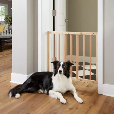 Product Primetime Petz Safety Mate Expandable Pet Gate