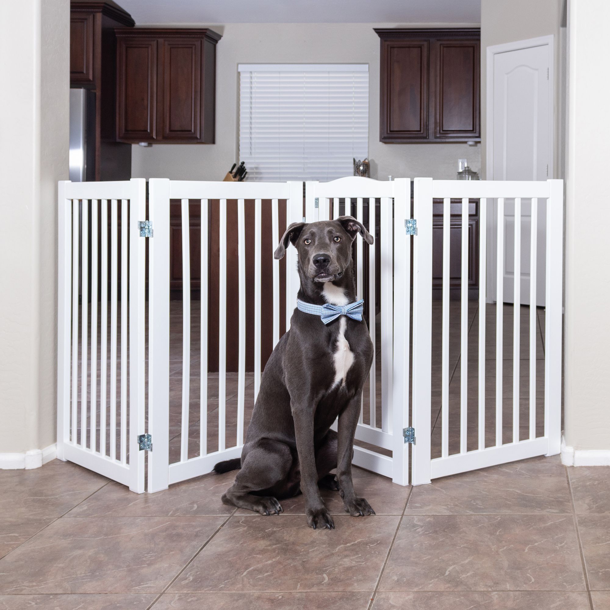 Primetime Petz 360 Configurable Gate with Door 36 in White