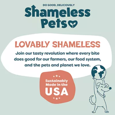 Product Shameless Pets Salmon Loves Butternut Jerky Dog Treats - Salmon & Butternut Squash