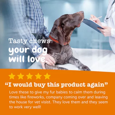 Product Zesty Paws Hemp Elements Calming Bites for Dogs - Turkey Flavor - 90 Ct