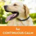 ThunderEase® Calming Dog Collar image thumbnail 4