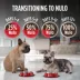 Nulo MedalSeries Baked & Coated Adult Dry Dog Food - Chicken, Duck & Turkey image thumbnail 6