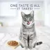 Blue Buffalo® Tastefuls™ Adult Cat Food - Natural, Tuna image thumbnail 4