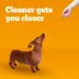 Pedigree® Dentastix Small Breed Adult Dental Dog Treats - Chicken image thumbnail 3