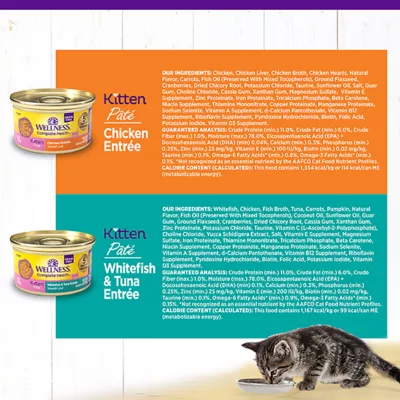 Product Wellness Complete Health Kitten Pate Favorites Wet Cat Food - Variety Pack, 12 CT, 36 OZ