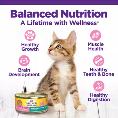 Product Wellness Complete Health Kitten Pate Favorites Wet Cat Food - Variety Pack, 12 CT, 36 OZ