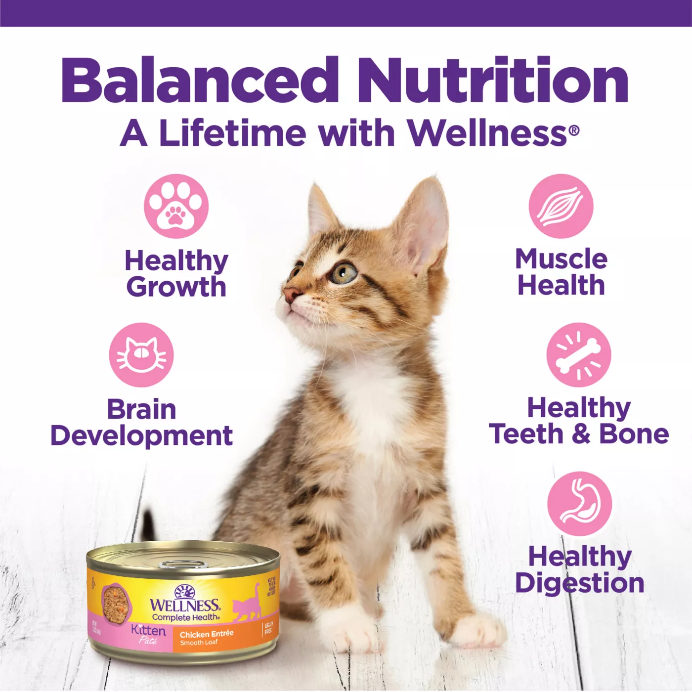 Wellness Complete Health Kitten Wet Cat Food Pate 5.5 oz Natural Grain Free