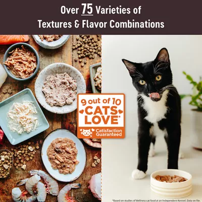 Wellness® CORE® Tiny Tasters Adult Cat Wet Food - Grain Free, Flaked, 1.75 Oz - Image 4