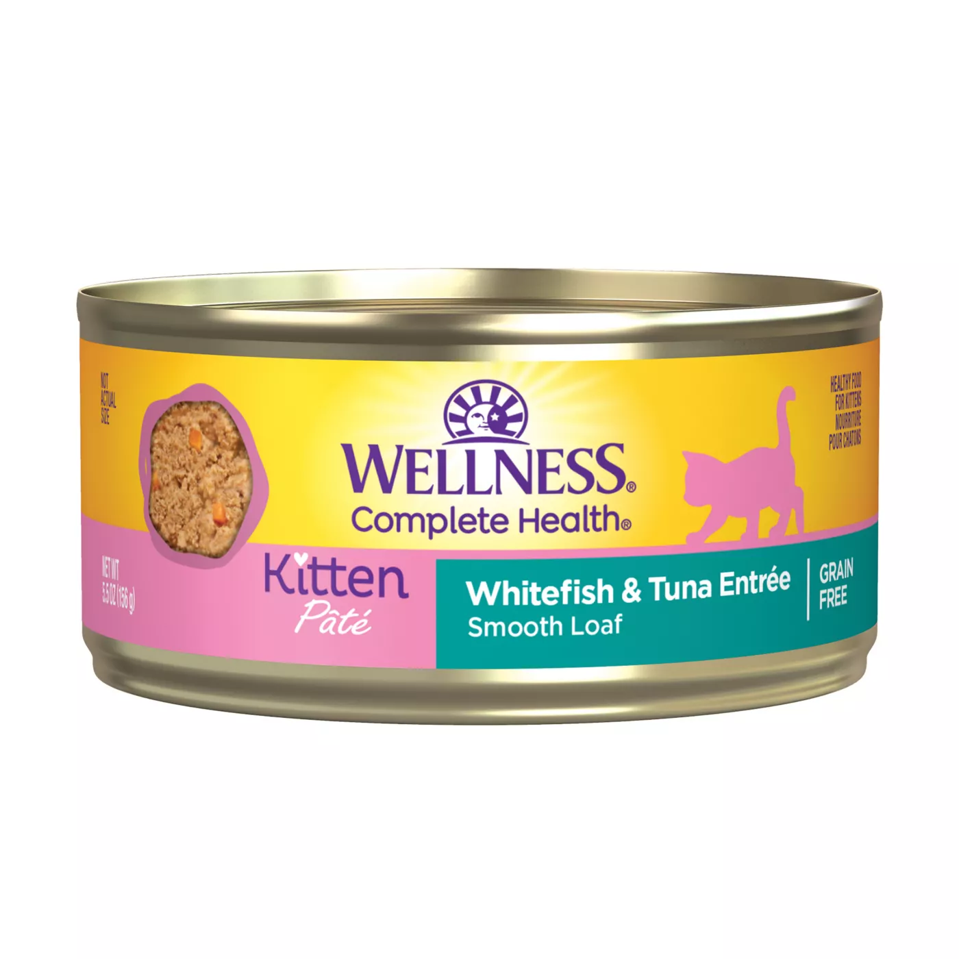 Kitten wet sale