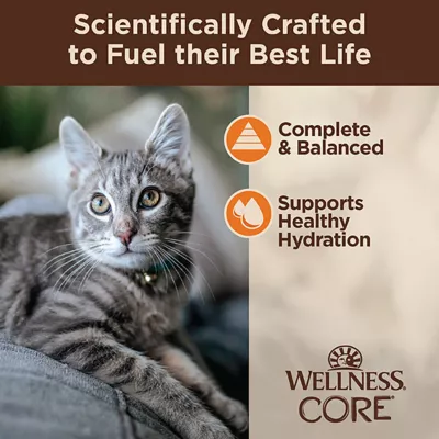 Product Wellness® CORE® Tiny Tasters Adult Cat Wet Food - Grain Free, Minced, 1.75 Oz