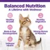 Wellness® Complete Health Kitten Dry Food - Natural, With Grain, Chicken image thumbnail 5