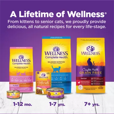 Product Wellness Complete Health Kitten Dry Cat Food - Chicken, With Grain, Natural