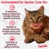 Hartz Delectables Bisque Senior Variety Pack Cat Treats - 12 Pack image thumbnail 10