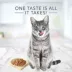 Blue Buffalo® Tastefuls™ Adult Cat Food - Natural, Chicken in Gravy image thumbnail 4