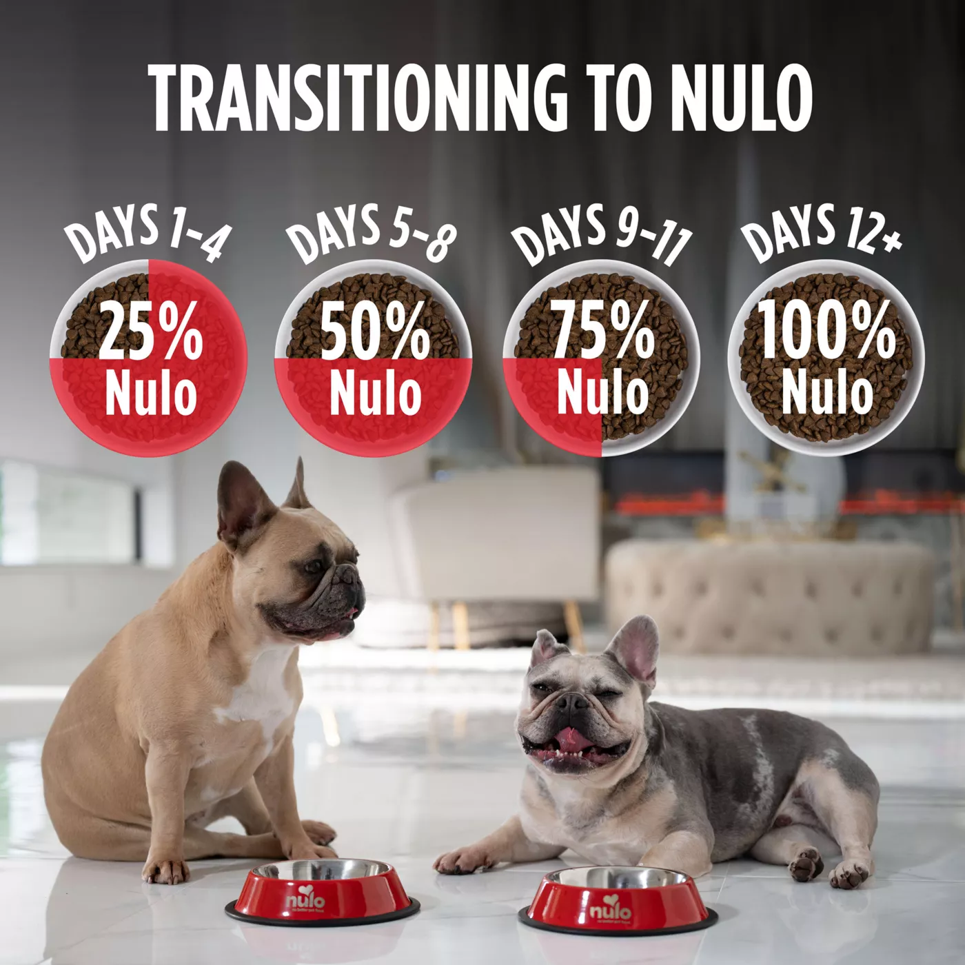 Nulo MedalSeries Puppy Dry Dog Food Grain Free, Salmon & Lentils