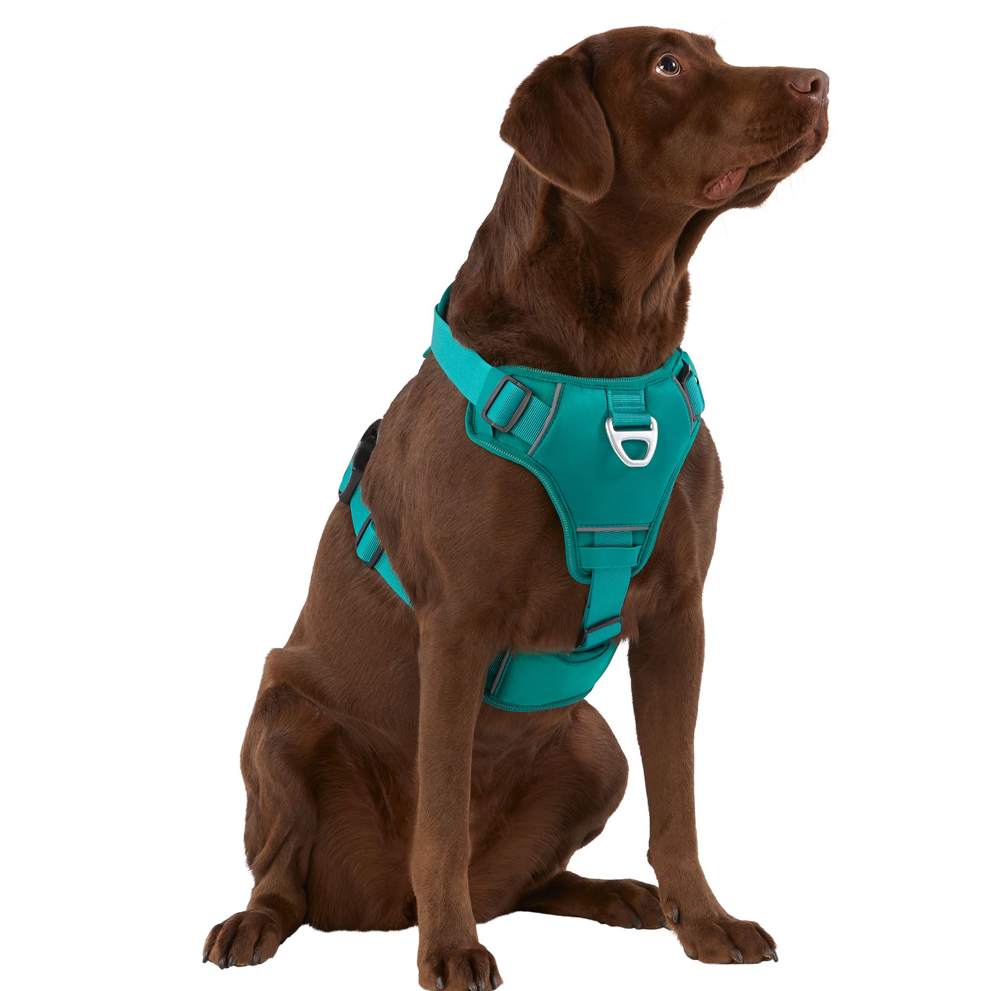 Arcadia Trail Neoprene Dog Harness Reflective Water Resistant