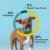 Embark Breed Identification Dog DNA Test image thumbnail 3