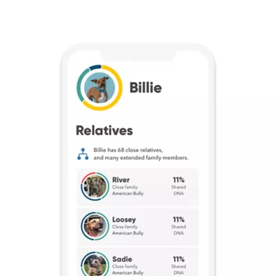 Product Embark Breed Identification Dog DNA Test