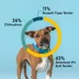 Embark Breed + Health Dog DNA Test image thumbnail 2