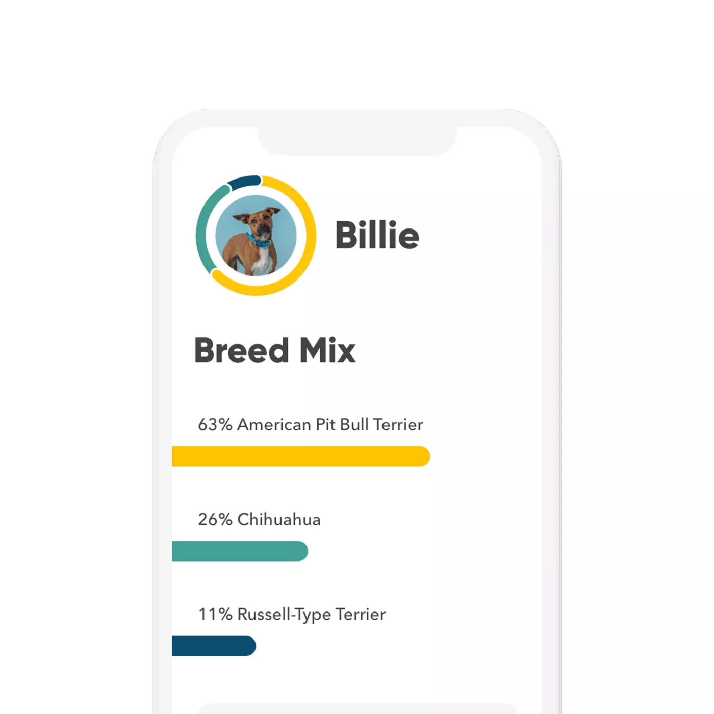 Embark Breed Health Dog DNA Test