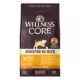 Product Wellness Core Digestive Health Puppy Dry Dog Food - Chicken & Brown Rice