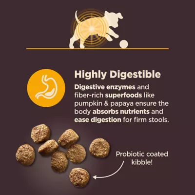 Product Wellness Core Digestive Health Puppy Dry Dog Food - Chicken & Brown Rice