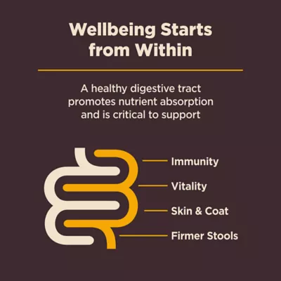 Product Wellness Core Digestive Health Puppy Dry Dog Food - Chicken & Brown Rice