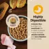 Wellness Core Digestive Health Puppy Dry Dog Food - Chicken & Brown Rice image thumbnail 5