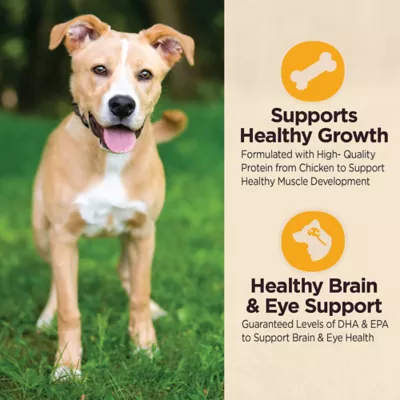 Product Wellness Core Digestive Health Puppy Dry Dog Food - Chicken & Brown Rice