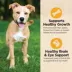 Wellness Core Digestive Health Puppy Dry Dog Food - Chicken & Brown Rice image thumbnail 6