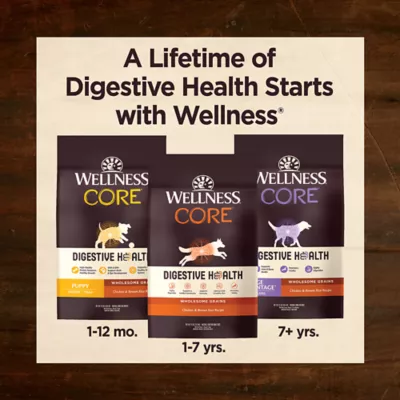 Product Wellness Core Digestive Health Puppy Dry Dog Food - Chicken & Brown Rice