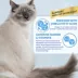 INABA Churu Skin & Coat Care Puree Lickable Cat Treats - 2 oz image thumbnail 4