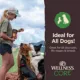 Product Wellness Core Tiny Trainers Tender Dog Treats - Lamb & Apples