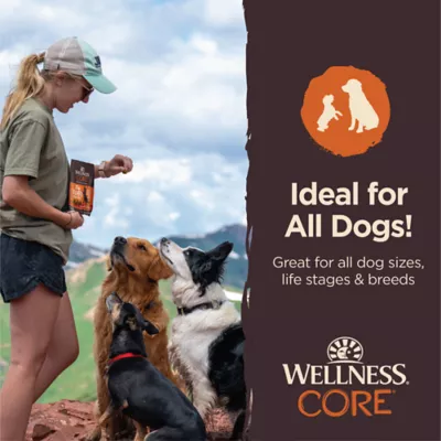 Product Wellness Core Tiny Trainers Tender Dog Treats - Turkey & Pomegranate