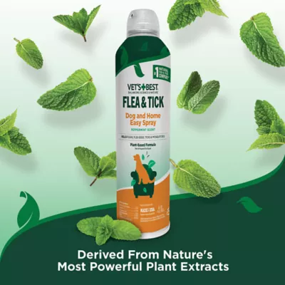 Vet's Best® Natural Flea & Tick Easy Spray for Dogs and Home, Peppermint Scent - Image 7