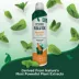Vet's Best® Natural Flea & Tick Easy Spray for Dogs and Home, Peppermint Scent image thumbnail 7