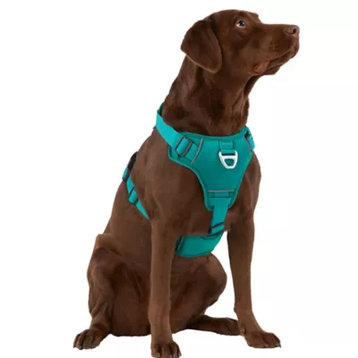 Product Arcadia Trail™ Neoprene Dog Harness - Reflective, Water-Resistant