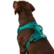 Product Arcadia Trail™ Neoprene Dog Harness - Reflective, Water-Resistant