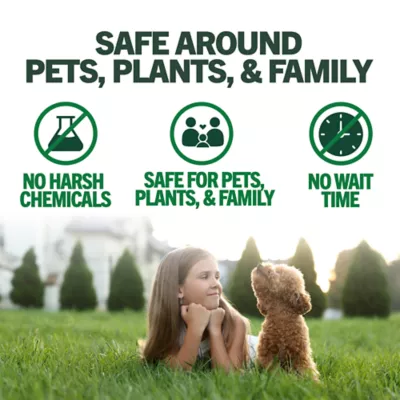 Vet's Best® Natural Flea & Tick Easy Spray for Dogs and Home, Peppermint Scent - Image 9