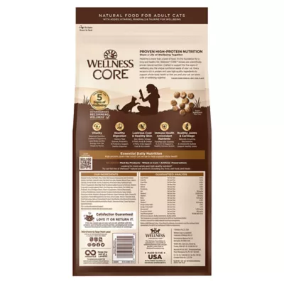 Product Wellness Core Dry Cat Food - Turkey & Duck, Grain Free, Natural