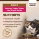 Product Wellness Core Dry Cat Food - Turkey & Duck, Grain Free, Natural