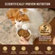 Product Wellness Core Dry Cat Food - Turkey & Duck, Grain Free, Natural