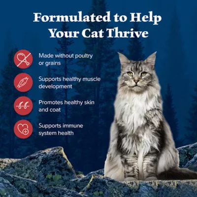 Product Blue Buffalo Wilderness All Life Stages Dry Cat Food - Grain Free, Beef