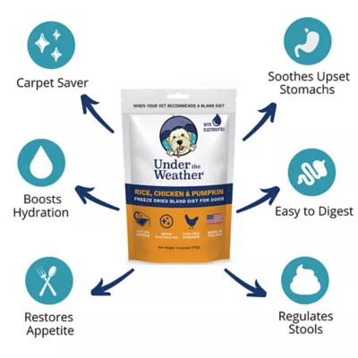 Product Under the Weather Freeze Dried Bland Diet All Life Stage Dry Dog Food - Rice, Chicken & Pumpkin
