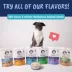 Under the Weather Freeze Dried Bland Dog Food, Digestive Support, Turkey & Hamburger Flavor, 6 oz image thumbnail 9
