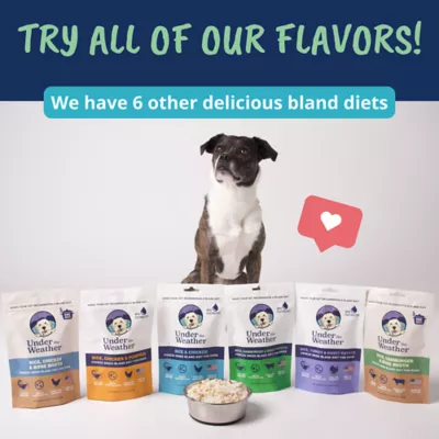 Under the Weather Bone Broth Bland Diet For Dog, Digestive Support, Chicken & Hamburger, 6.5oz - Image 9