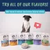 Under the Weather Bone Broth Bland Diet For Dog, Digestive Support, Chicken & Hamburger, 6.5oz image thumbnail 9