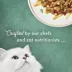 Fancy Feast® Medleys All Life Stages Cat Wet Food - 3 oz., No Artificial Colors or Flavors image thumbnail 4