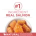 Purina ONE® +Plus Indoor Advantage Adult Cat Dry Food - Salmon, No Artificial Preservatives image thumbnail 4
